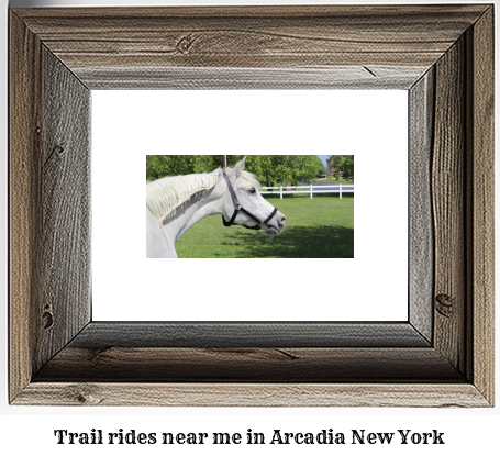 trail rides near me in Arcadia, New York